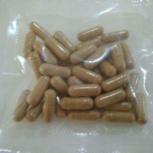 Where Can I Buy Microdose Magic Mushroom Capsules (Psilocybin) in the UK and Europe?