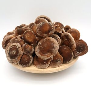 Buy Shiitake Mushrooms UK – Fresh, Dried & Grow Kits Available in 2026