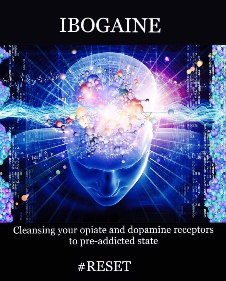 Breaking Free from Drug Addiction: How Ibogaine and Psilocybin Support Recovery